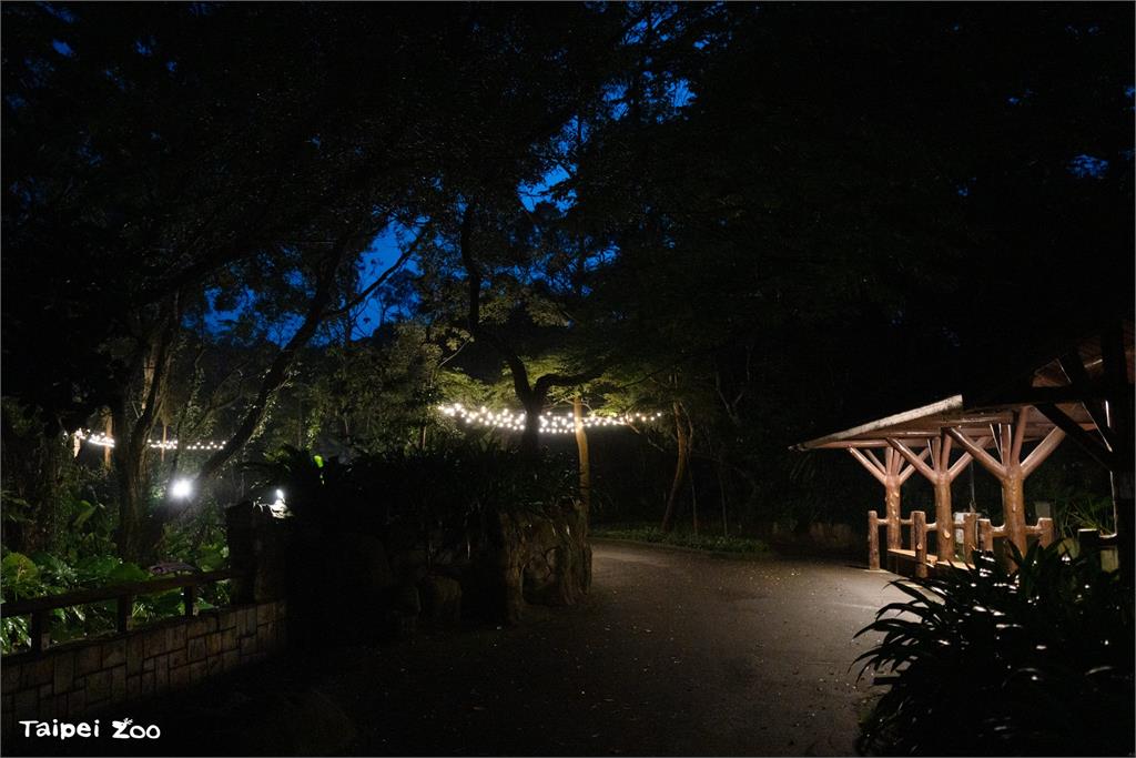 快新聞/暑假限定!台北市立動物園「星光票」將開賣 每週六晚上入園「涼一夏」