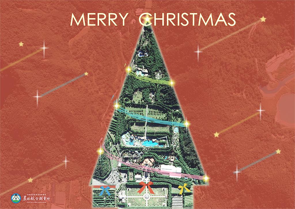全台「最大耶誕樹」底加！林務局農航所曝「空拍照」網讚：小編超有才