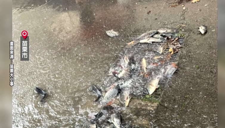 雨彈狂炸苗栗災情頻傳 縣長火速下令救災優先