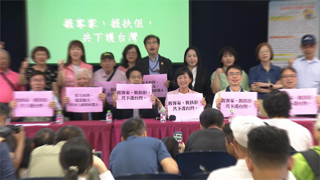 綠營採「雙母雞」拚突圍？　沈伯洋：領頭羊跟伯洋都很重要
