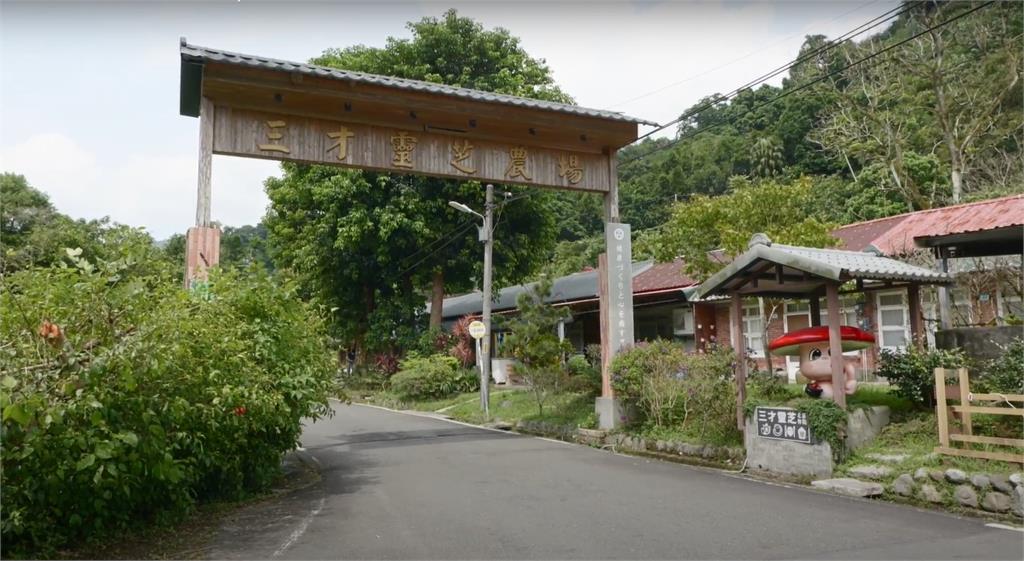 研發菇蕈類植化素機能性飲品　海洋沅帶動石碇公益及產業發展