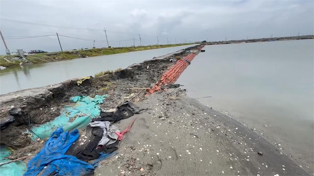 颱風過境！麻豆文旦、後壁芭樂成重災區　中央、地方助農民走出困境