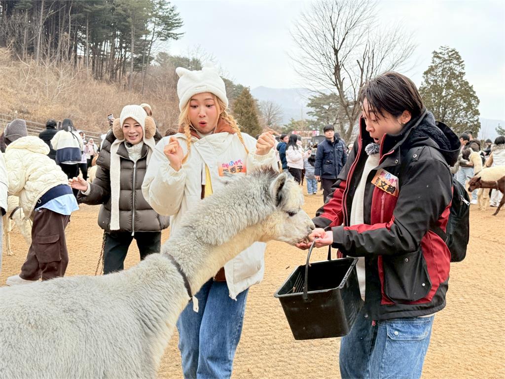 阿翔50克拉鑽戒首爾高空對楊繡惠求婚？楊繡惠狂喊GD「我愛你」當場翻車！