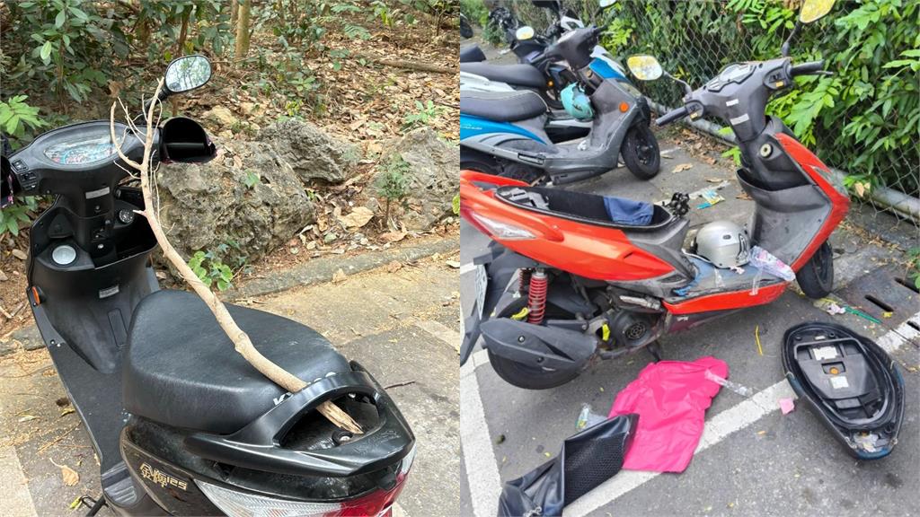 壽山動物園驚見「一排機車上卡樹枝」！她曬2張圖釣解答：防大師兄亂搞