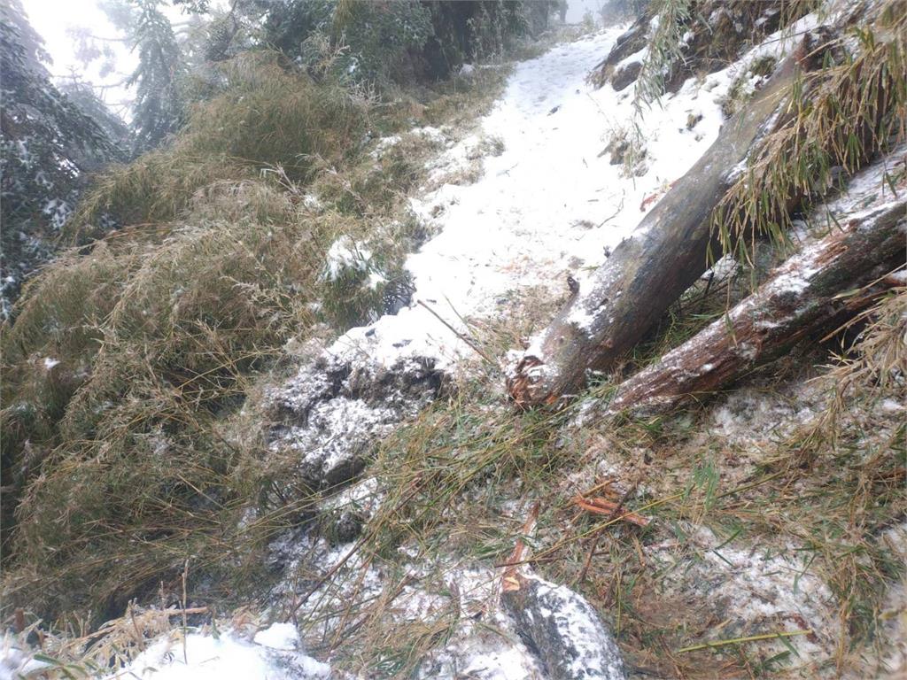 快新聞/低溫挾水氣!合歡山3月「11.5公分」積雪未退 銀白美景曝光