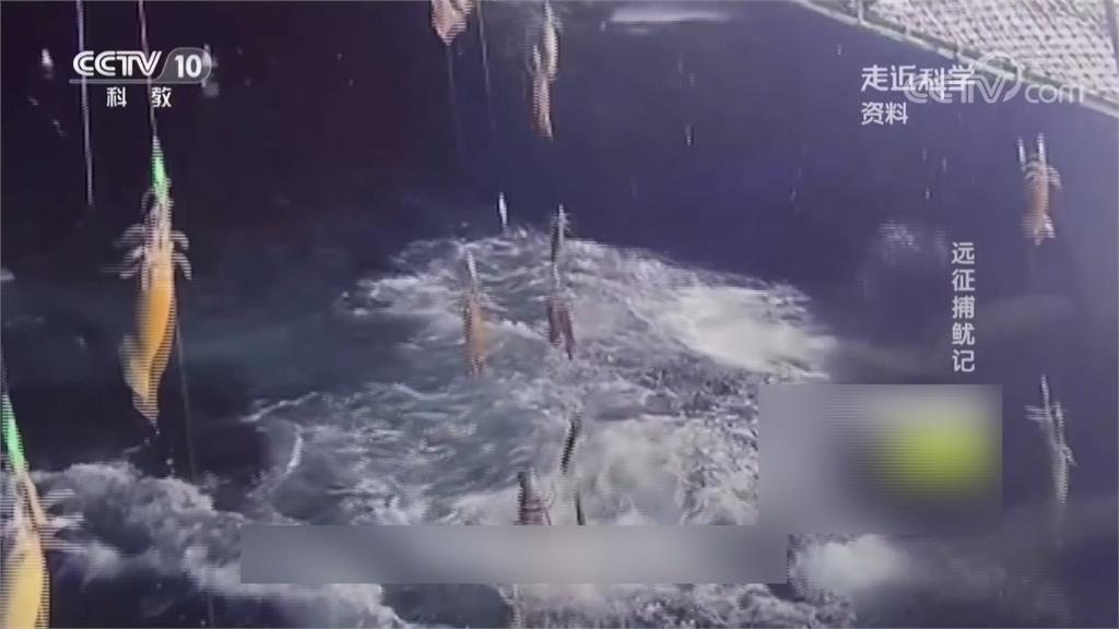 全球／全球海域「一網打盡」　直擊中國漁船非法捕魷魚