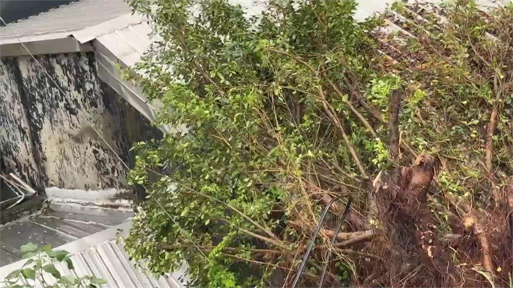 東北季風發威! 台中店家招牌掉落 芳苑海浪如水滾