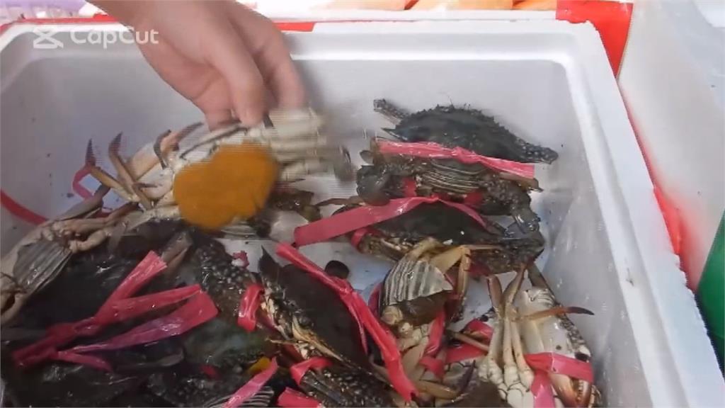 彰化2攤商售抱卵母蟹 最高恐吞15萬罰單