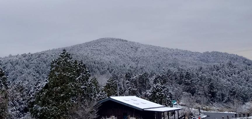 快新聞/冷氣團影響!太平山再現「霧淞美景」 整座山頭披上夢幻雪衣