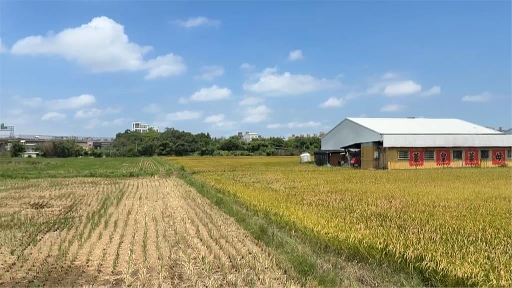 萬美玲購入"凍結40年公保地"秒解凍 莊瑞雄酸:桃園巴菲特?