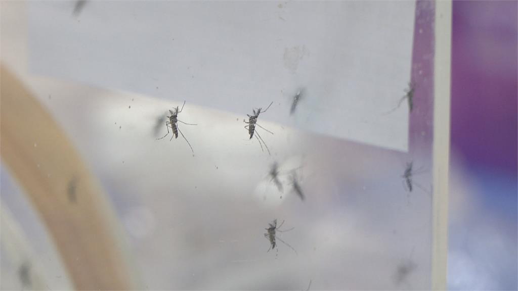 家中1處恐成蚊子隱密通道！他實測「封住最大漏洞」一拆驚了：消失3個月