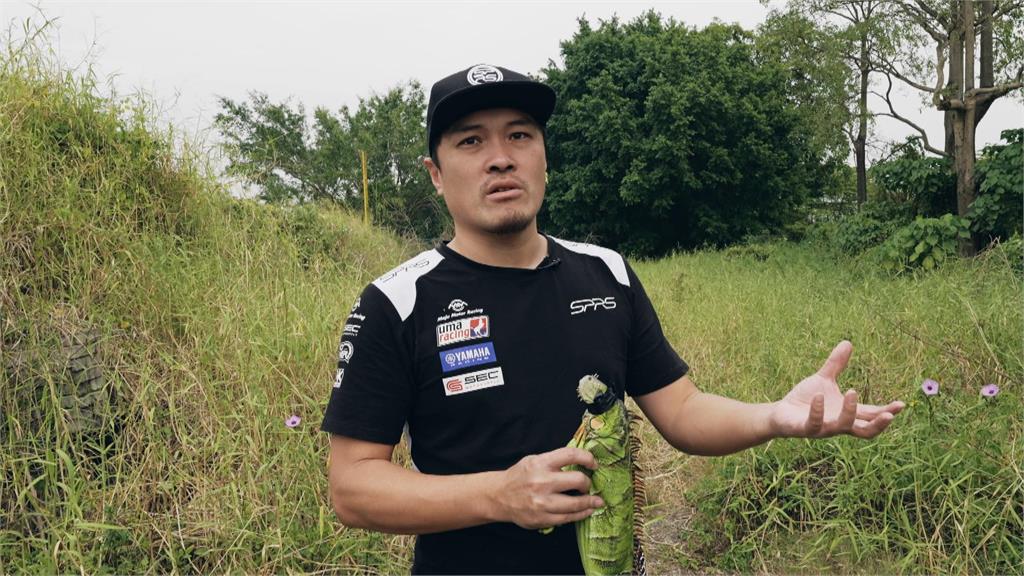 異言堂/綠鬣蜥數量失控 網紅J爸助移除直言:五味雜陳