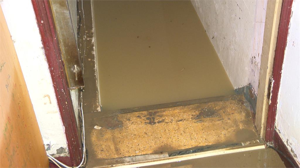 哭笑不得！內湖災民買抽水機　清消驚見「鱔魚游入民宅」