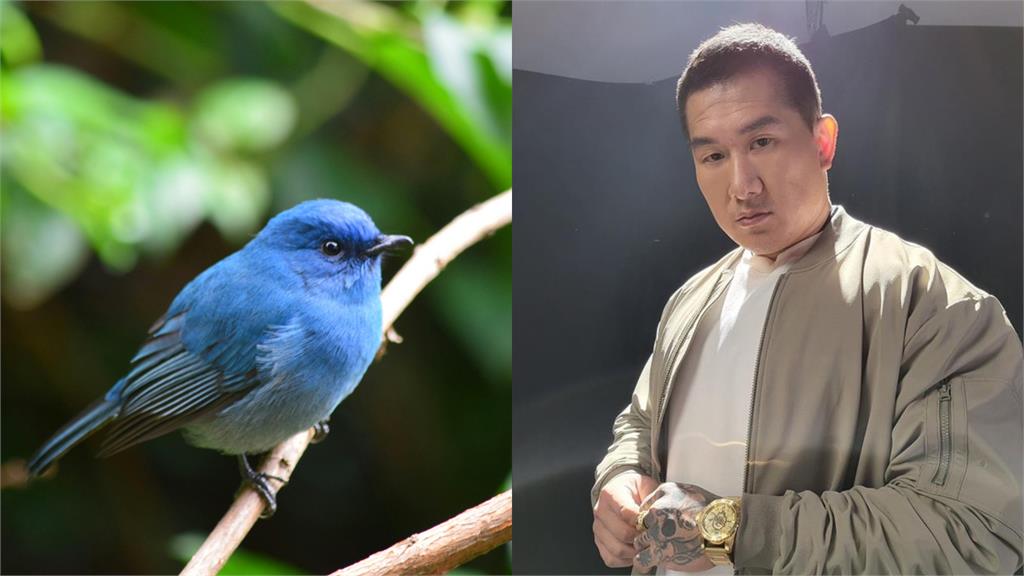 「館長3公分」不是傳說？台灣男性「尺寸」全球排名輸中國⋯慘低於平均