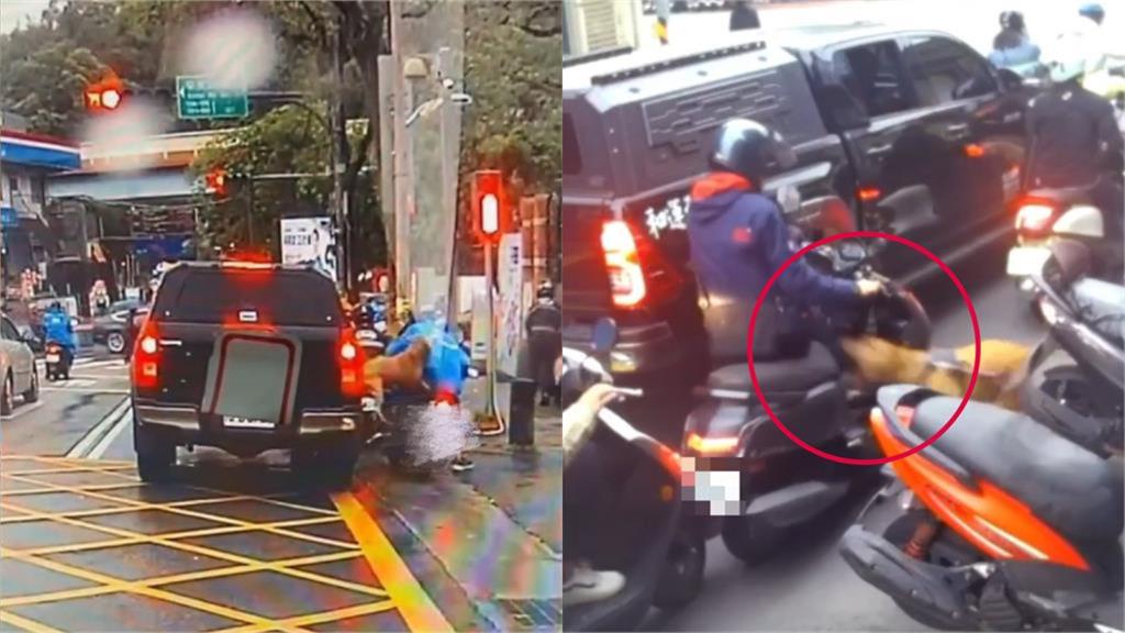比特犬2度跳窗咬人…「天生愛攻擊」?律師揪「2點」喊:是飼主不合格!