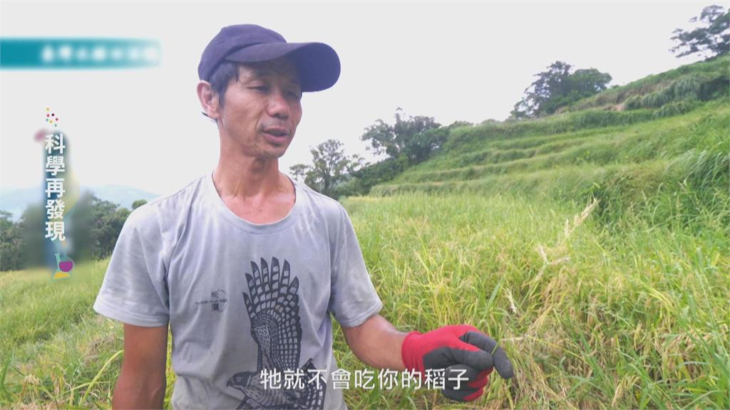 友善耕作豐富生態系 朝「永續共生之道」邁進