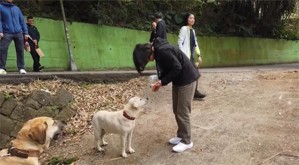 快新聞/蔡英文帶樂樂、鳳梨妹上山走春 手做肉乾太美味吸引15隻狗友歡迎