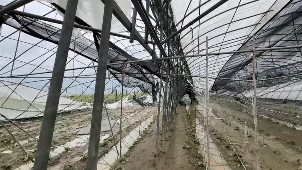 丹娜絲過境重創農作物 農業部統計農損破逾10億
