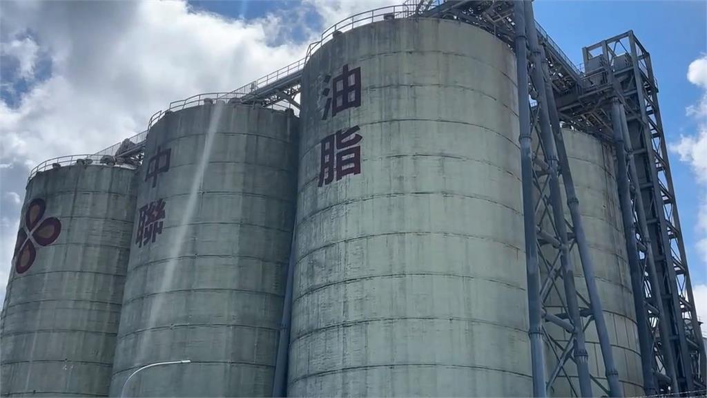 中聯停工致豆粉短缺.飼料漲　養豬戶大喊吃不消