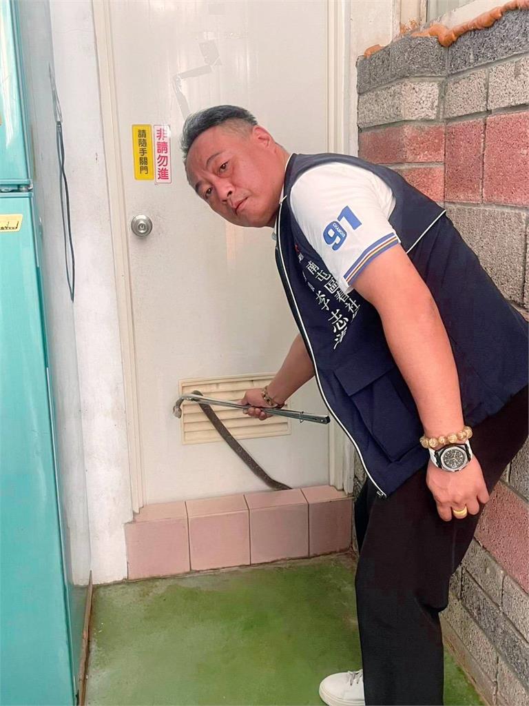 台中民宅廁所眼鏡蛇探頭 里長徒手捉蛇被讚英勇