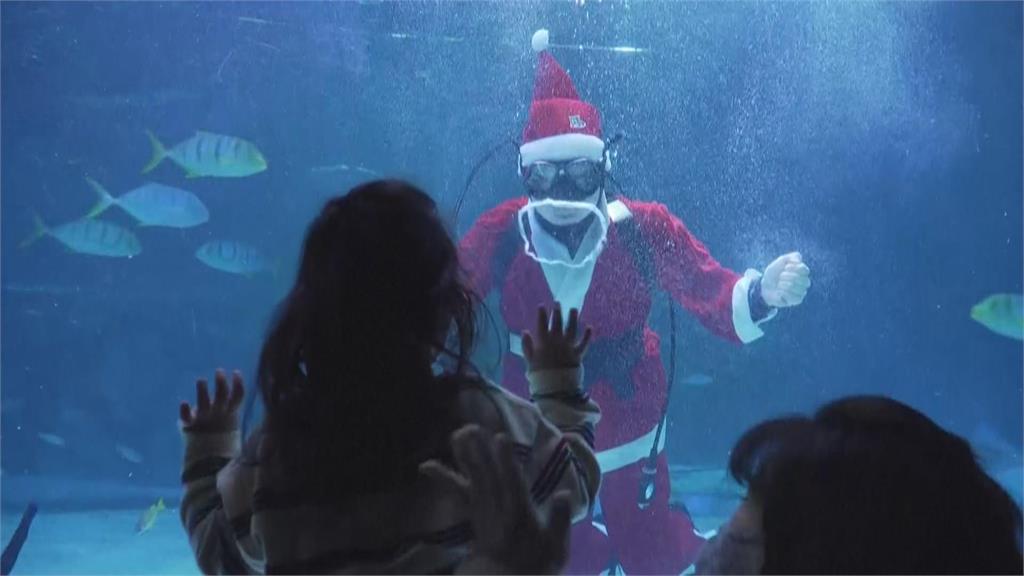 首爾水族館驚喜獻禮　耶誕老公公潛水餵魚