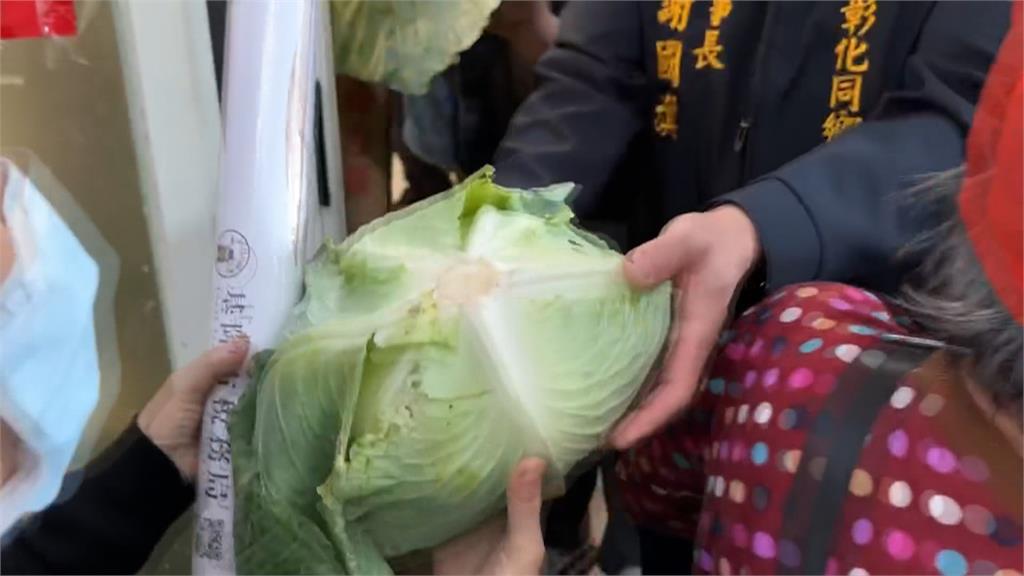 高麗菜價崩! 基市議員、同鄉會認購2千顆免費送