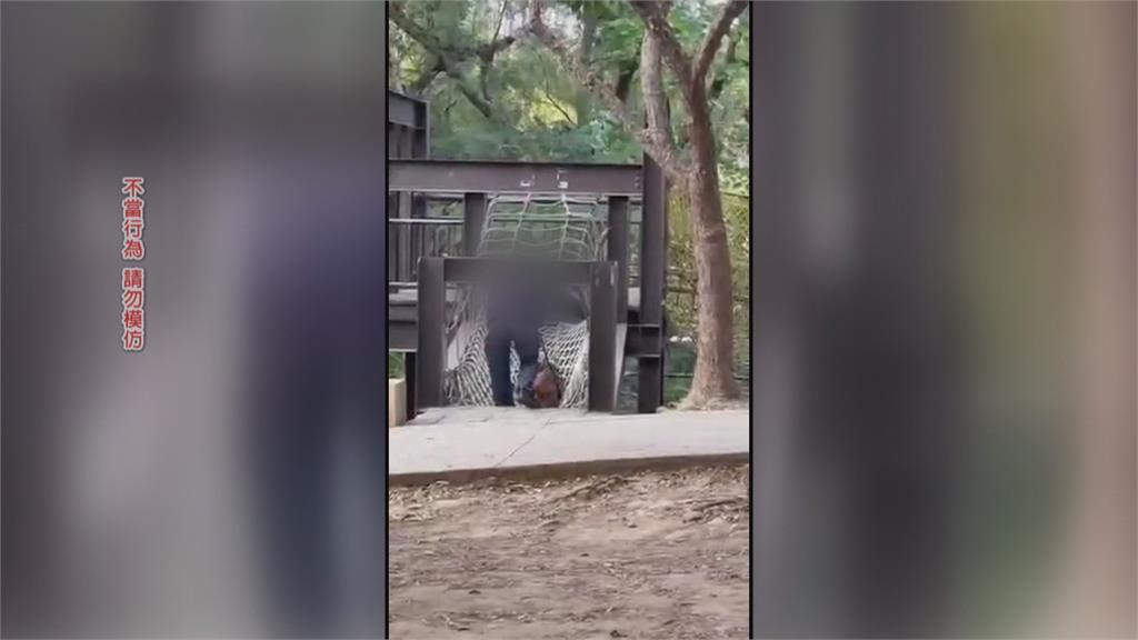 傻眼！　彰化兒童公園目擊「猛犬爬遊具」　民眾嚇傻怒批飼主：超沒品