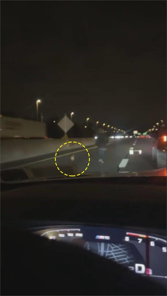 「吉」刻救援!高速公路驚見吉娃娃狂奔 駕駛齊力追捕:速度快到荒謬