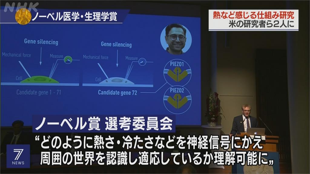 研究痛覺、觸覺神經受體　2學者獲諾貝爾醫學獎