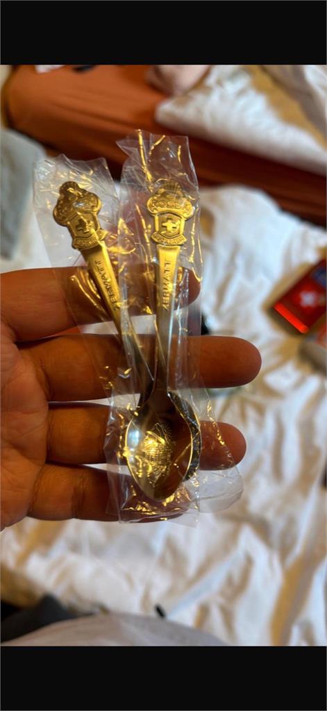  郁方19歲兒衝瑞士「0消費討勞力士湯匙」遭拒絕！下秒「1招大反轉」結局震驚她