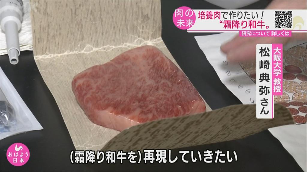 未來你吃的肉不是肉！　日本大學研發　3D列印人造霜降和牛肉排