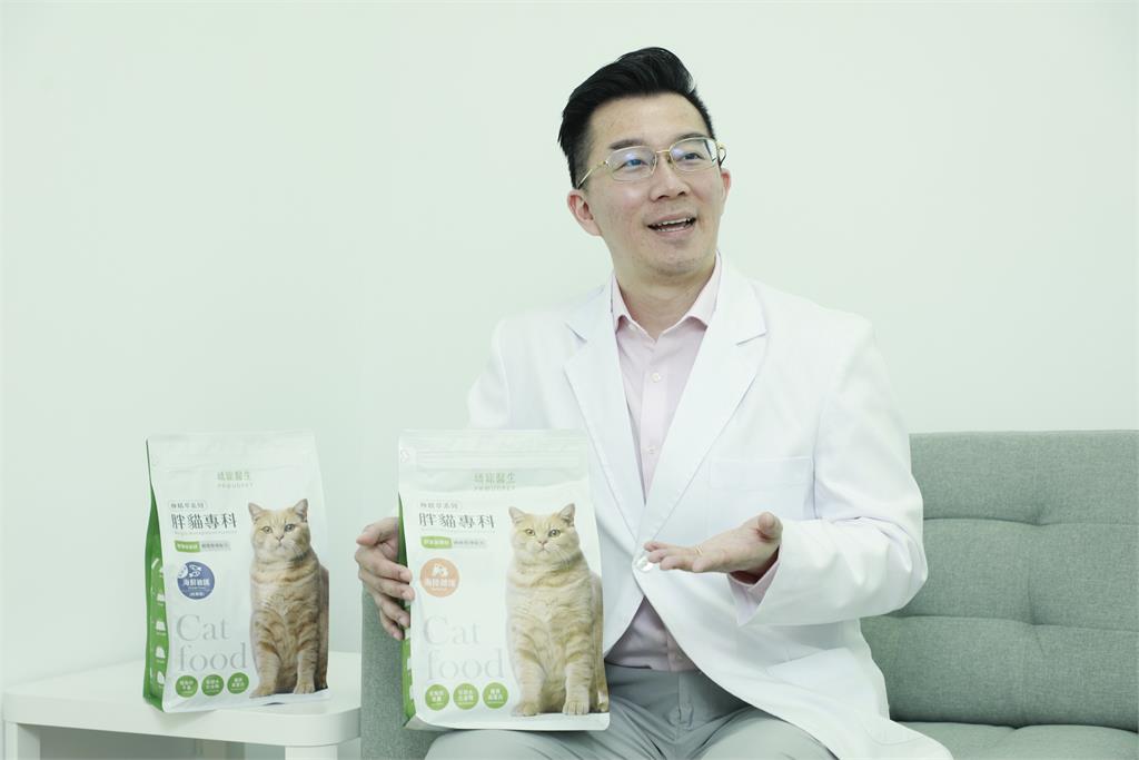 胖貓別只少吃！獸醫揭5大體控難題「維持肌肉」才是關鍵