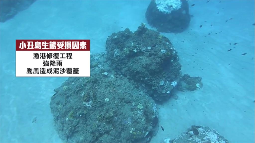 綠島潛水勝地「小丑島」 休生養息後魚群回歸