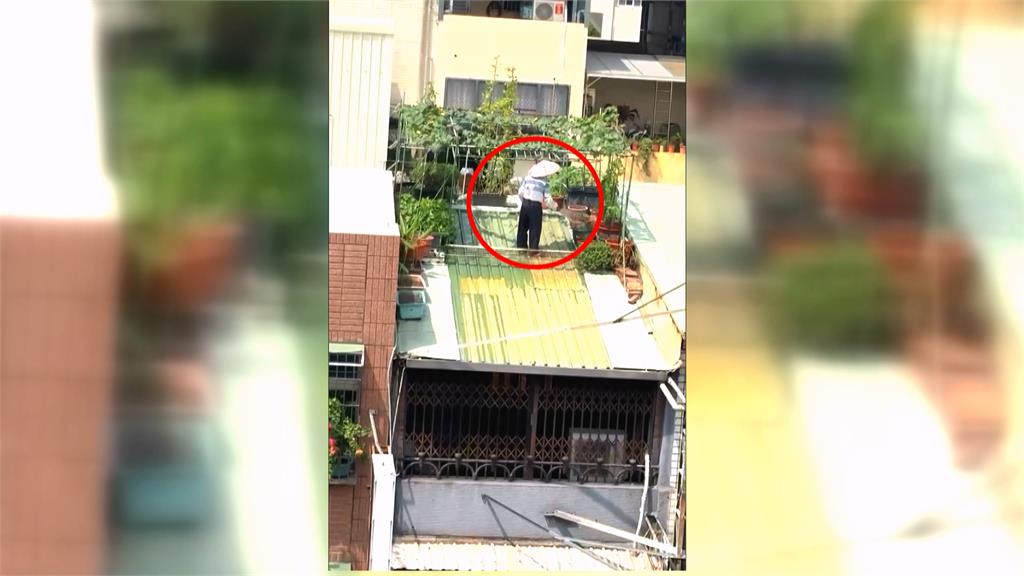 空中菜園!91歲伯爬鐵皮屋頂澆花種菜 民眾目擊直呼好危險