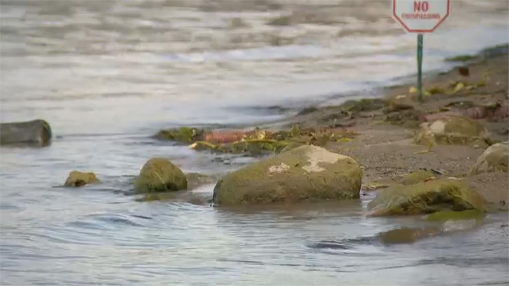美國明尼蘇達州嚴重乾旱　湖泊水位下降影響水上活動