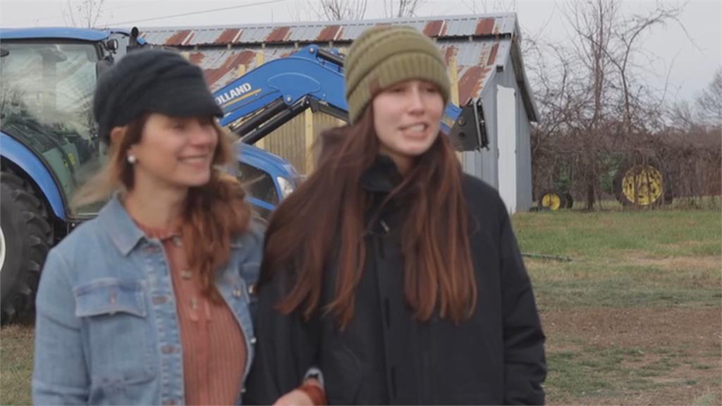 美中關稅戰「人造耶誕樹」價格狂飆 民眾擁抱傳統「買真樹」別有趣味