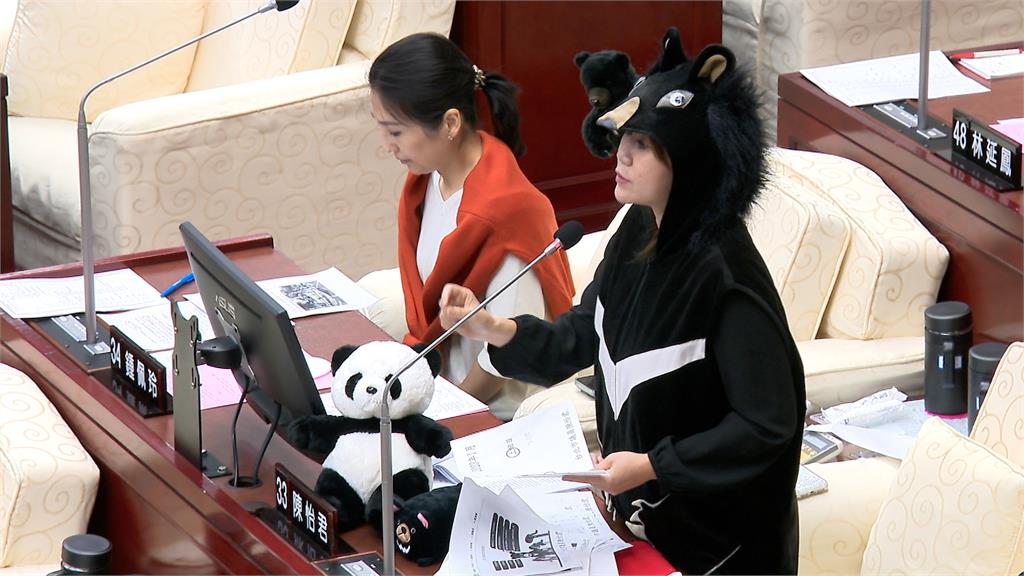 好萌!熊讚被CUE上備詢台 議員:熊讚你真的很懶惰