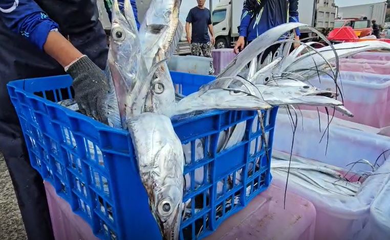 "鳳凰"逐步接近台灣 基隆漁民進港急卸貨防颱