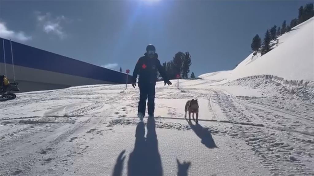 高山「雪崩」難預測! 美國出動搜救犬尋找受困登山客