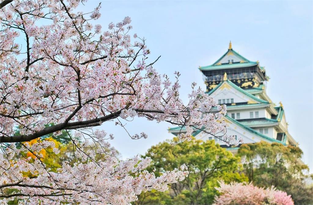 遊日荷包縮水！大阪將仿峇里島開徵「旅遊稅」　住宿稅調高「這價格」