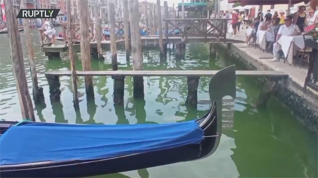 威尼斯大運河染綠凶手找到了？　環保局：測試廢水網路用螢光素所致