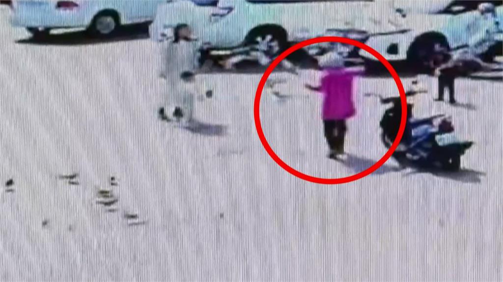 婦人涉餵毒米害24鴿子「當場暴斃」　高雄警調監視器抓人