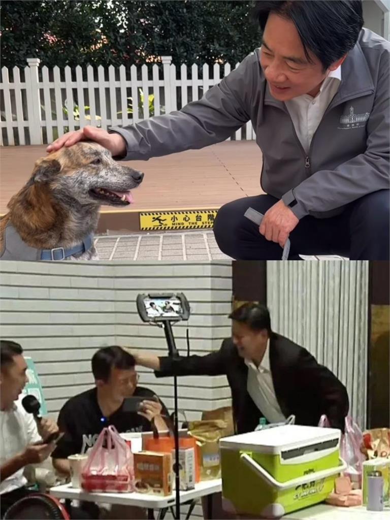 賴清德霸氣護斑斑vs.傅崐萁摸頭黃國昌？網狂「列出差別」狠酸：憑什麼