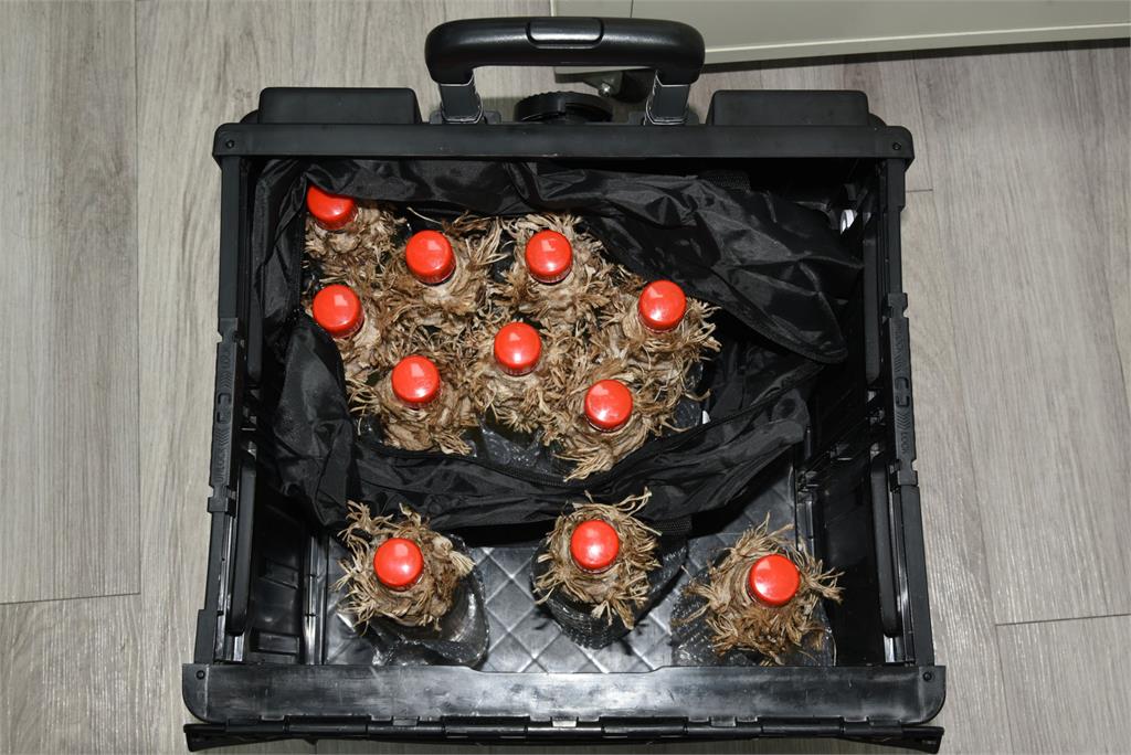 快新聞／張文下塌飯店曝光！驚見「15顆汽油彈」　大量煙霧彈、刀械「如軍火庫」