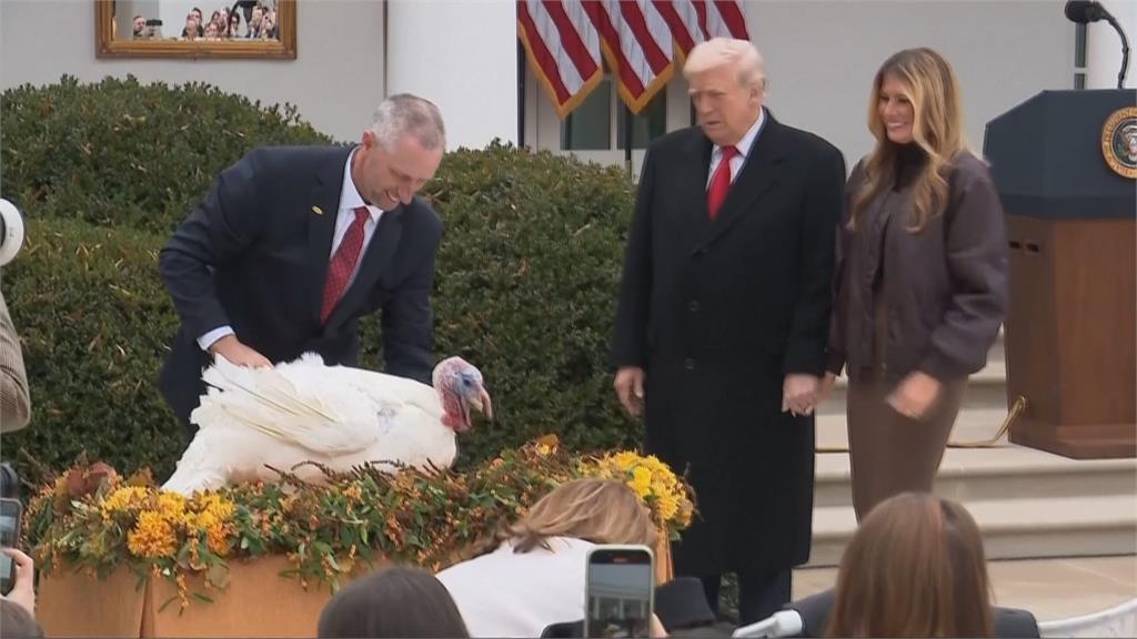 川普特赦火雞興奮學雞叫！　差點幫牠們取「這名字」