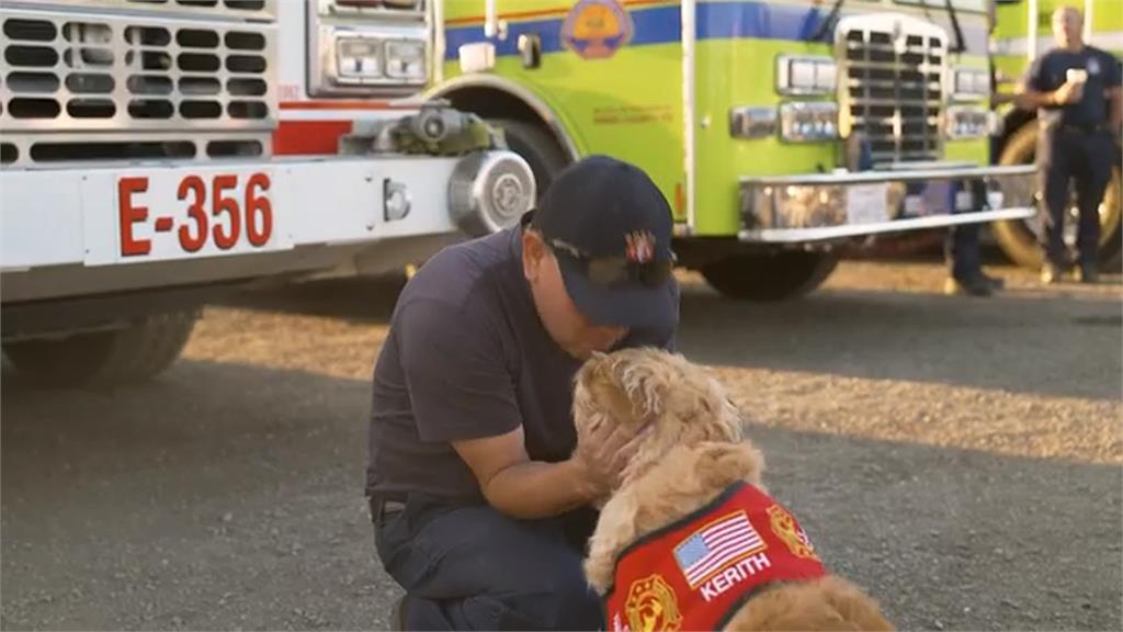 美國警消身心壓力爆棚　療癒犬巡迴抱抱超抒壓