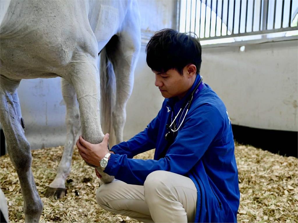 馬術(影)／從音符中蛻變的專業獸醫！台灣隊「核心人物」李曜年成選手最堅強後盾