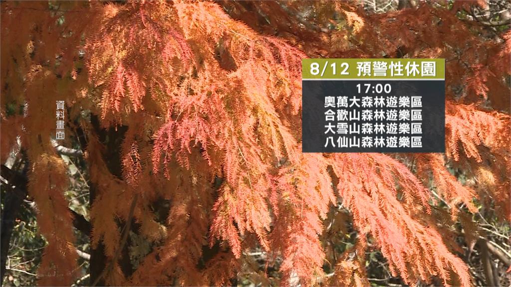 防楊柳來襲! 福壽山、武陵農場今下午起休園
