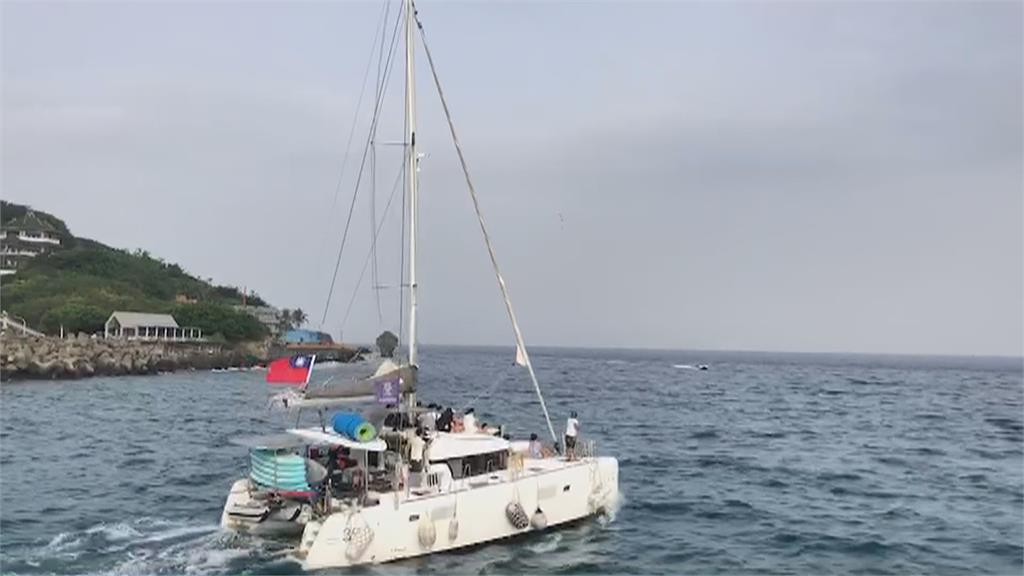 小琉球潛水驚見「這生物」 連海龜都嚇歪