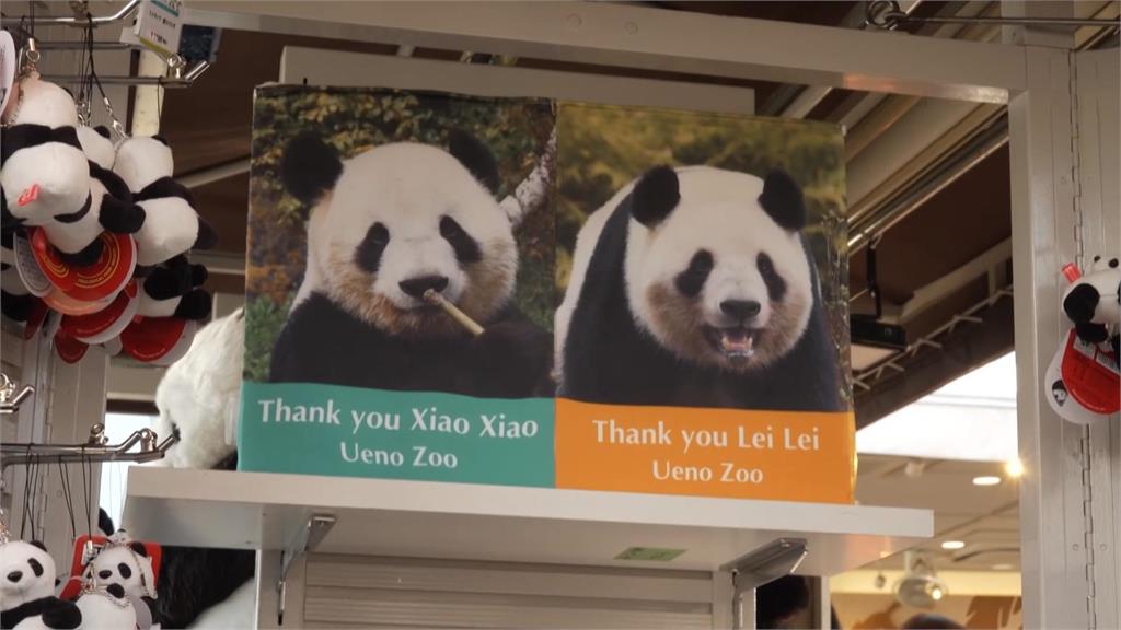 上野動物園貓熊曉曉蕾蕾將返中 最後一天公開露面